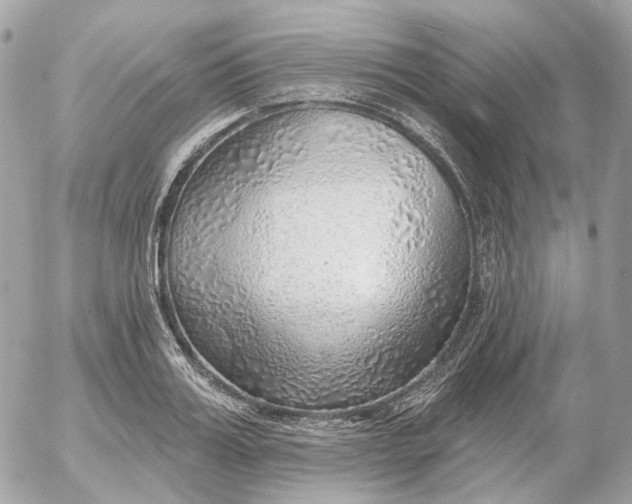 X0000052930987200507221117