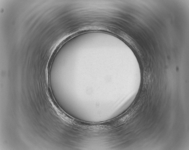 X0000052930988200507221117