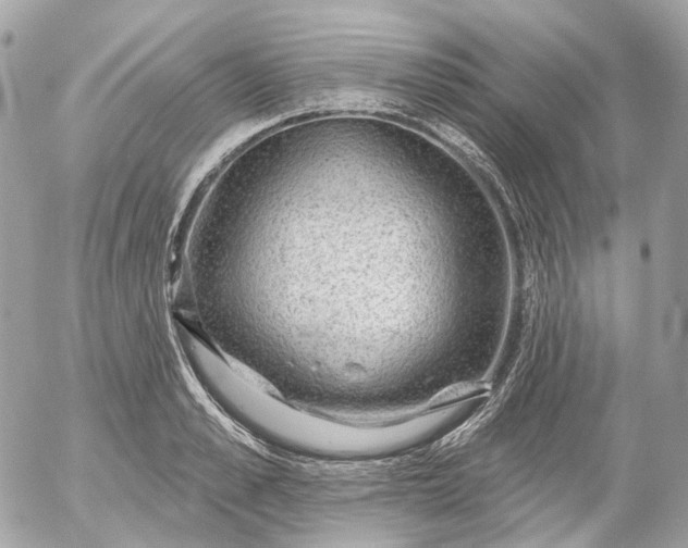 X0000052930989200507221117