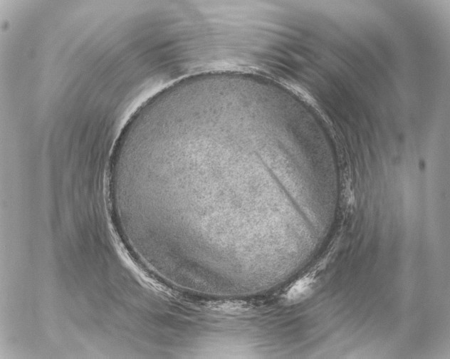 X0000052930991200507221117