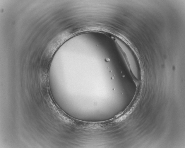 X0000052930993200507221117