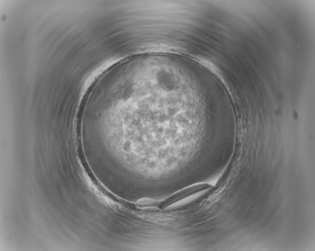 X0000052930995200507221117