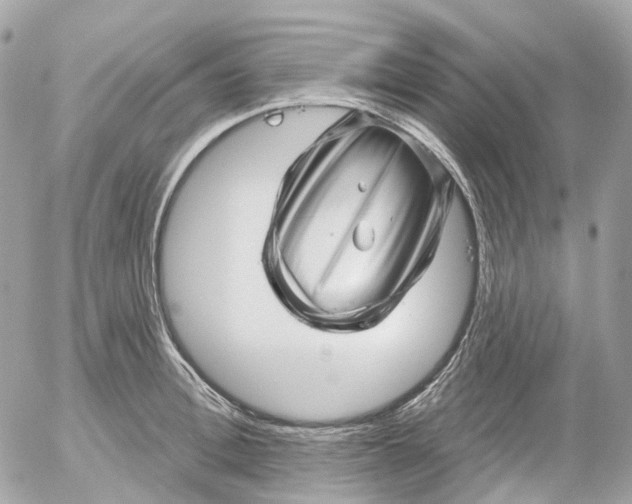 X0000052930996200507221117