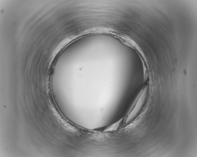 X0000052930997200507221117