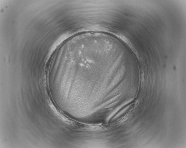 X0000052930998200507221117