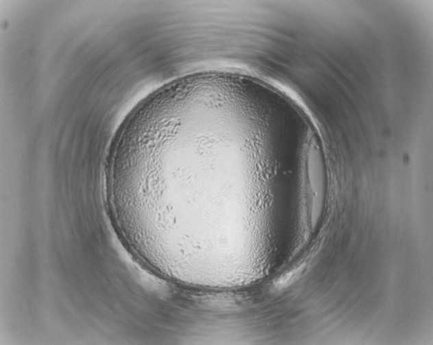 X0000052930999200507221117