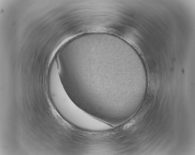 X0000052931000200507221117