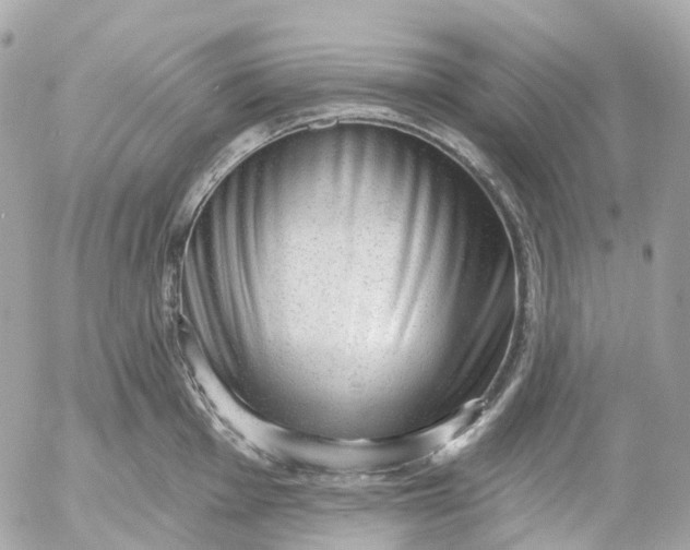 X0000052931001200507221117