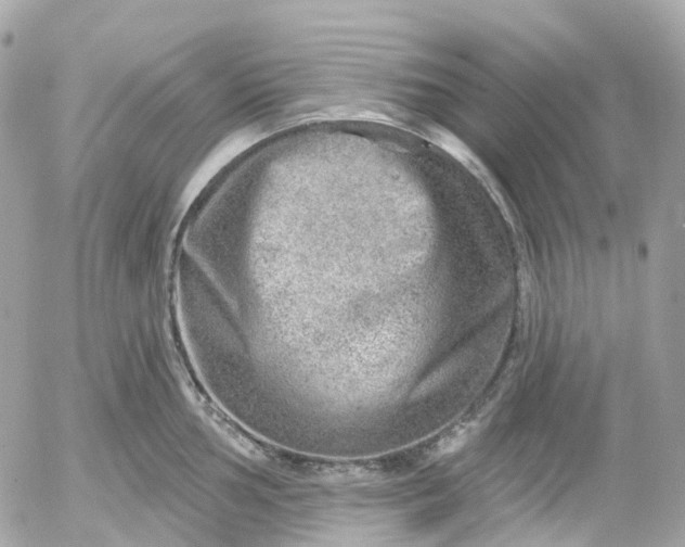 X0000052931002200507221117