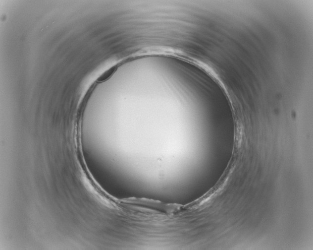 X0000052931003200507221117