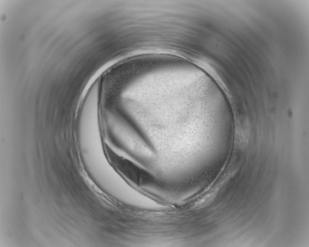 X0000052931004200507221117