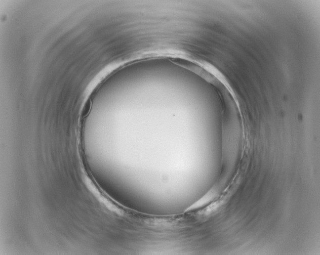 X0000052931005200507221117