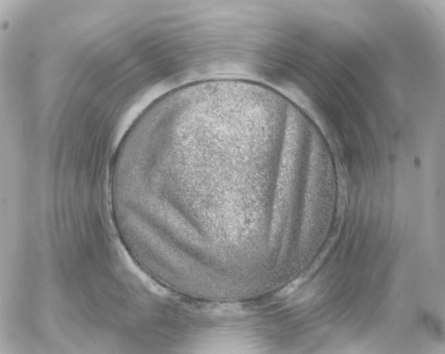 X0000052931006200507221117