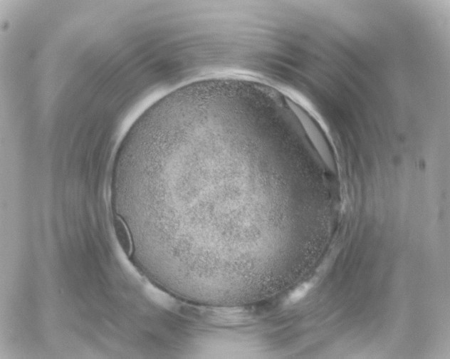 X0000052931007200507221117