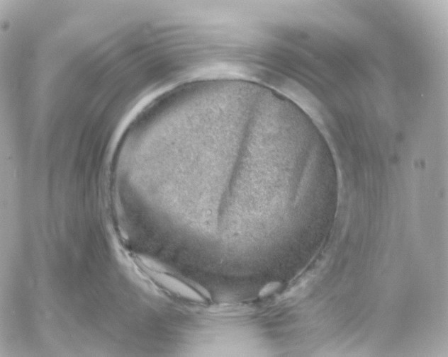 X0000052931008200507221117