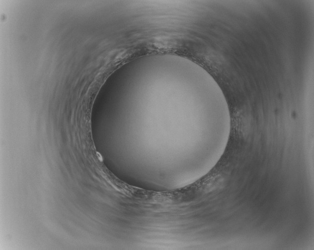 X0000052931009200507221116