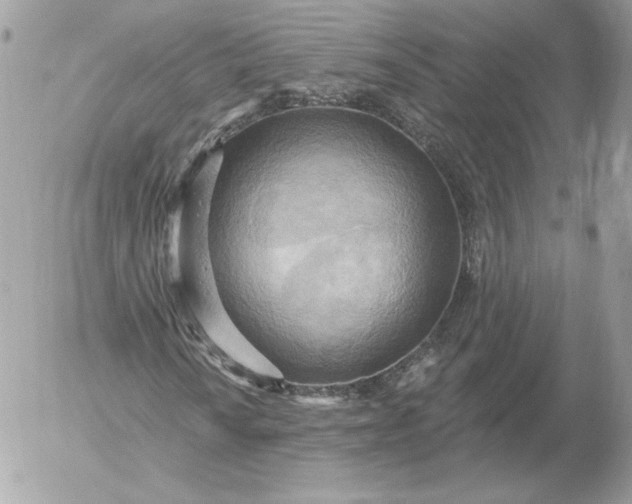 X0000052931010200507221116