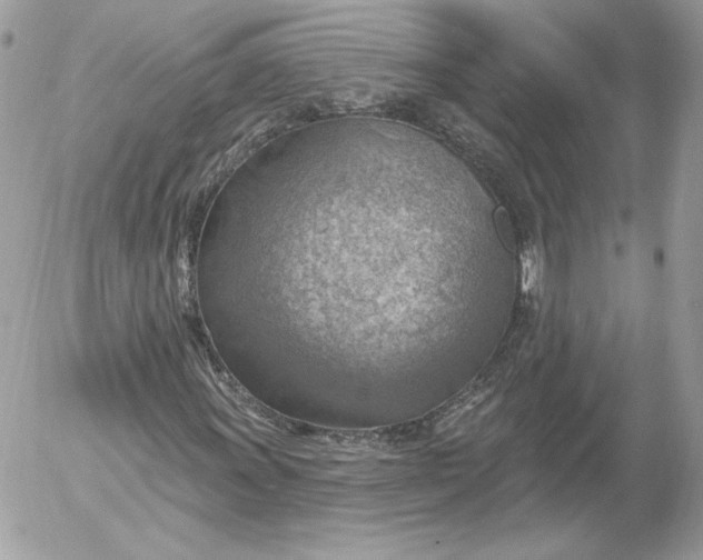 X0000052931011200507221116