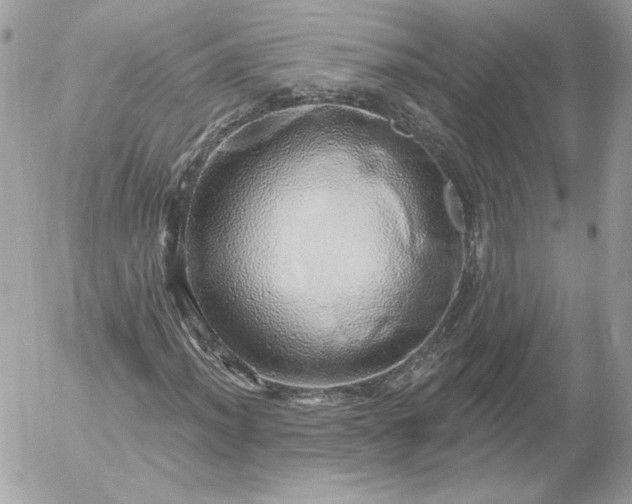 X0000052931012200507221116