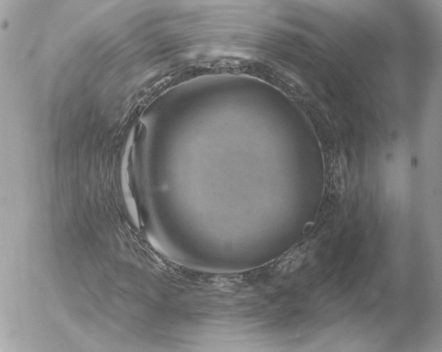 X0000052931013200507221116