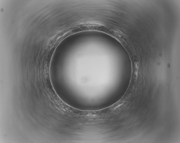 X0000052931014200507221116