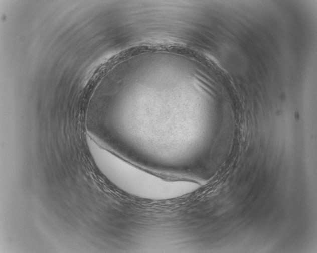 X0000052931016200507221116