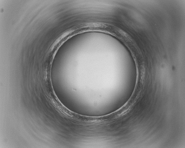 X0000052931017200507221116