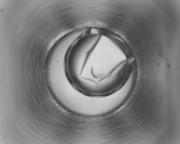 X0000052931018200507221116