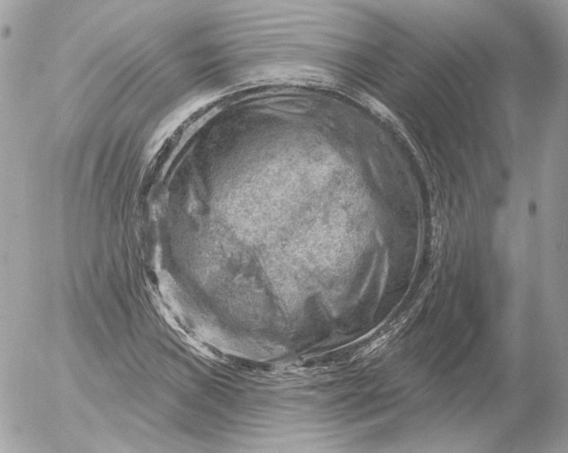 X0000052931019200507221116