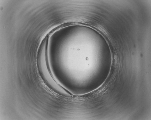 X0000052931020200507221116