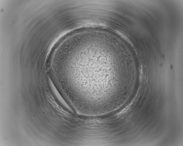 X0000052931021200507221116