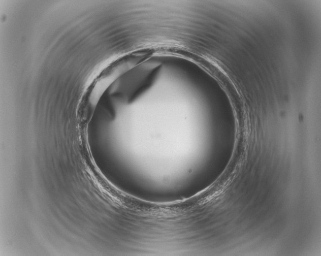 X0000052931022200507221116