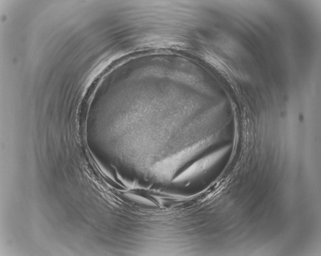 X0000052931023200507221116