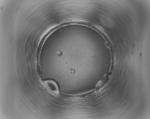 X0000052931024200507221116