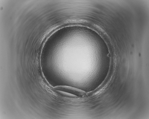 X0000052931025200507221116