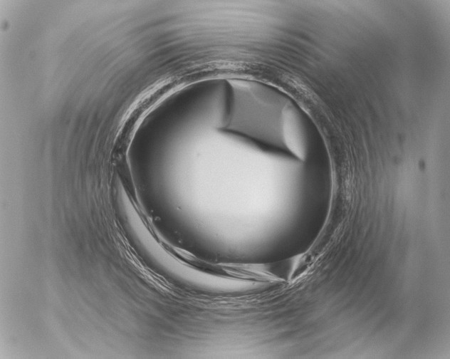 X0000052931026200507221116