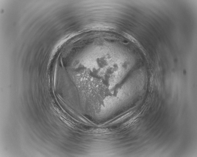 X0000052931027200507221116