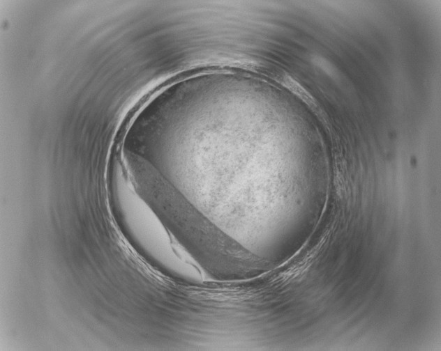 X0000052931028200507221116