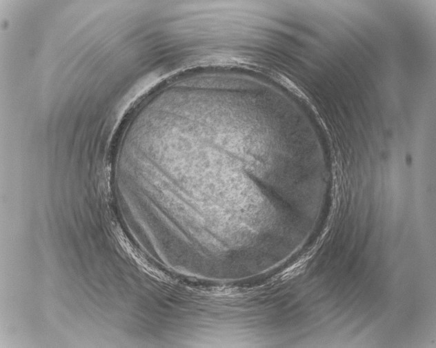 X0000052931029200507221116