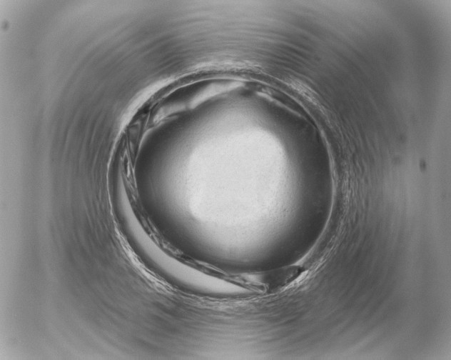 X0000052931030200507221116