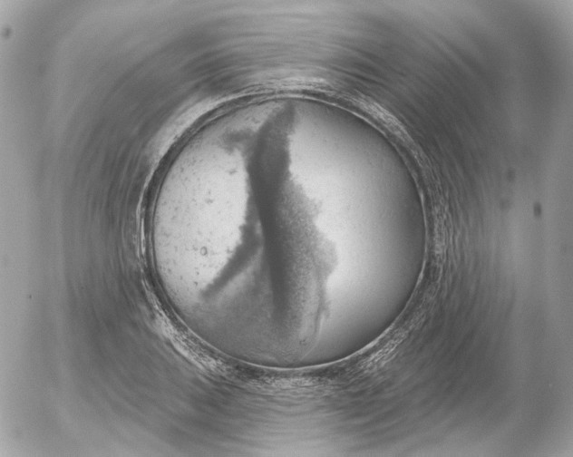 X0000052931031200507221116