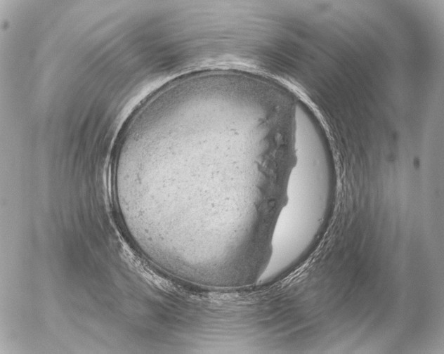 X0000052931032200507221116