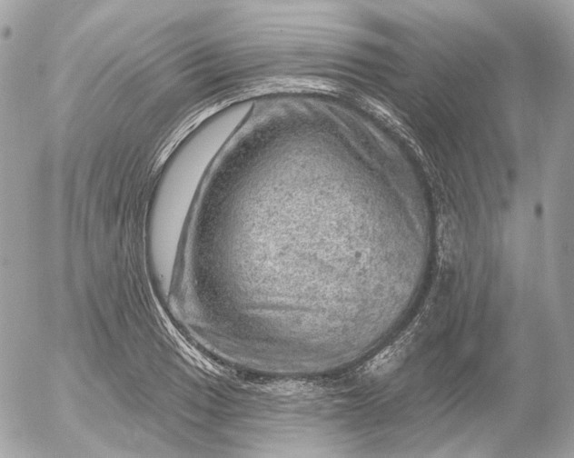 X0000052931033200507221116