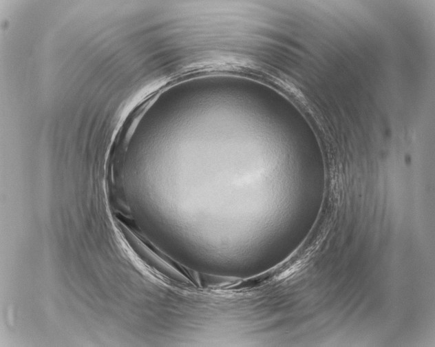 X0000052931034200507221116