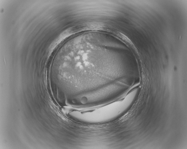 X0000052931035200507221116