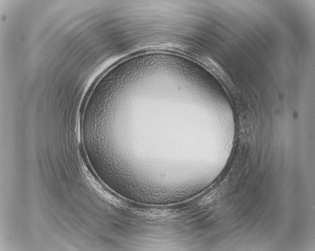 X0000052931036200507221116