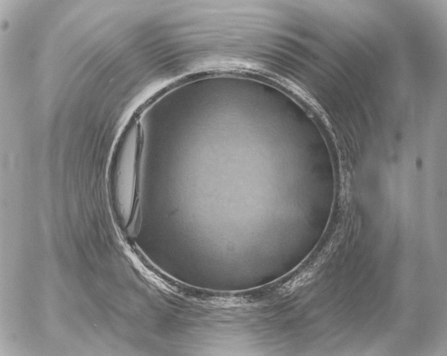 X0000052931037200507221116