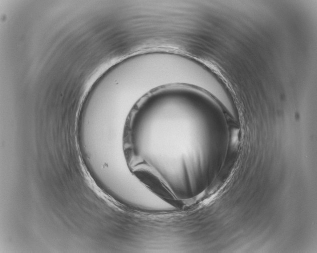 X0000052931038200507221116