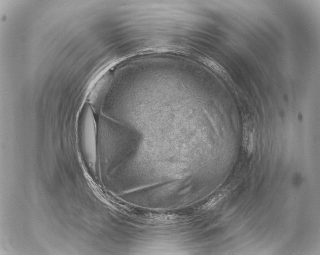 X0000052931039200507221116