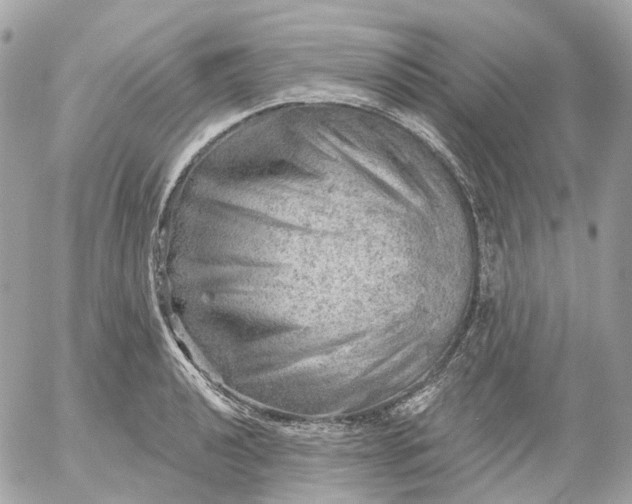 X0000052931040200507221116